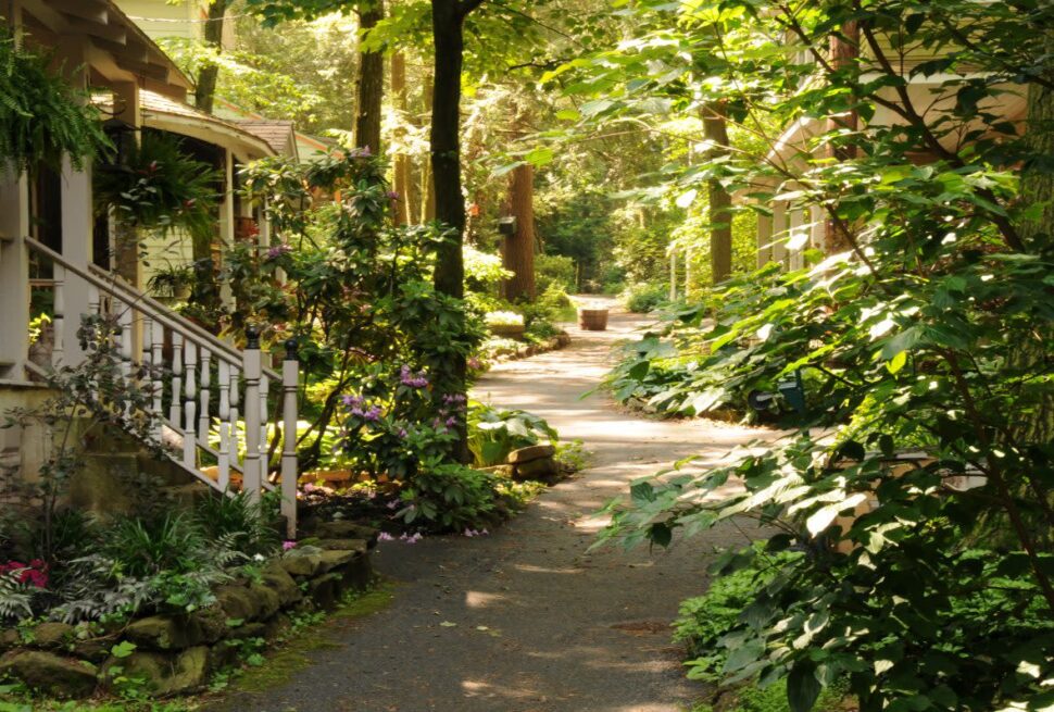 Things to Do in Mt Gretna PA