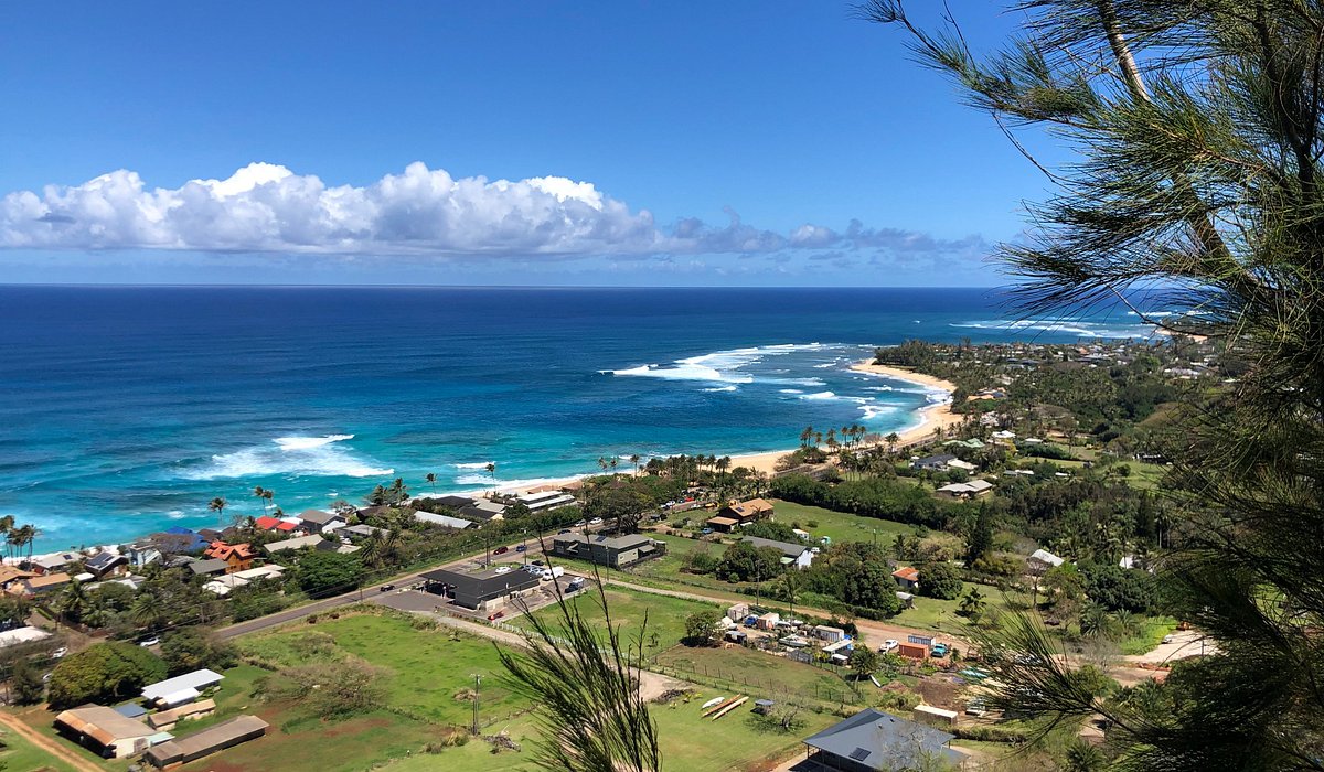 Things to Do in Oahu North Shore