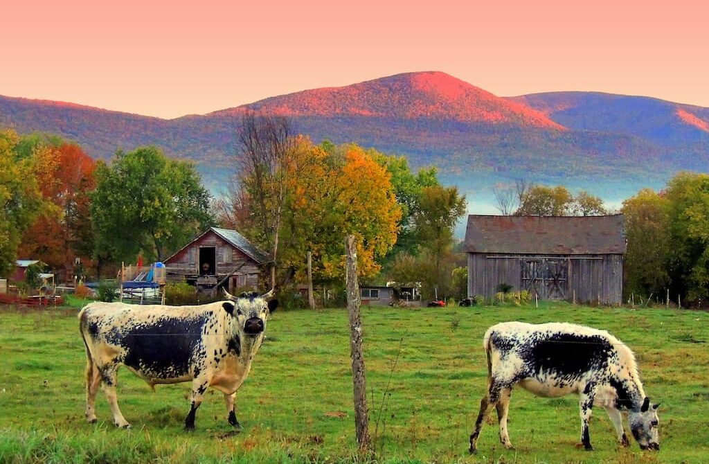 Things to Do in Southern Vermont