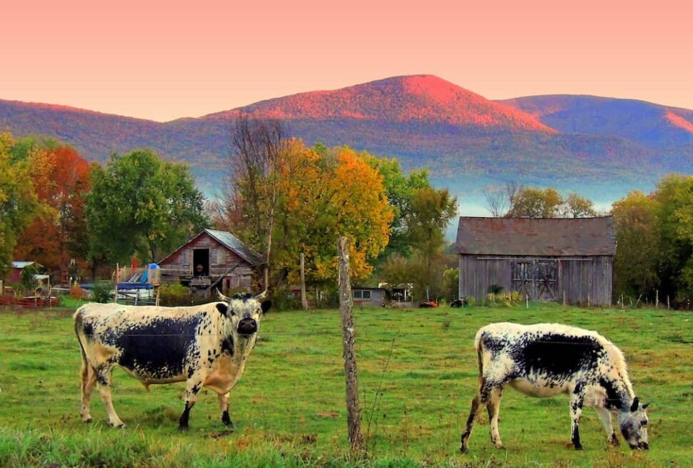 Things to Do in Southern Vermont