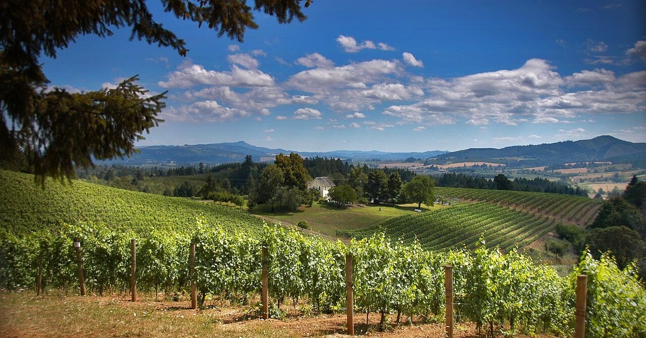 Things to Do in Forest Grove Oregon