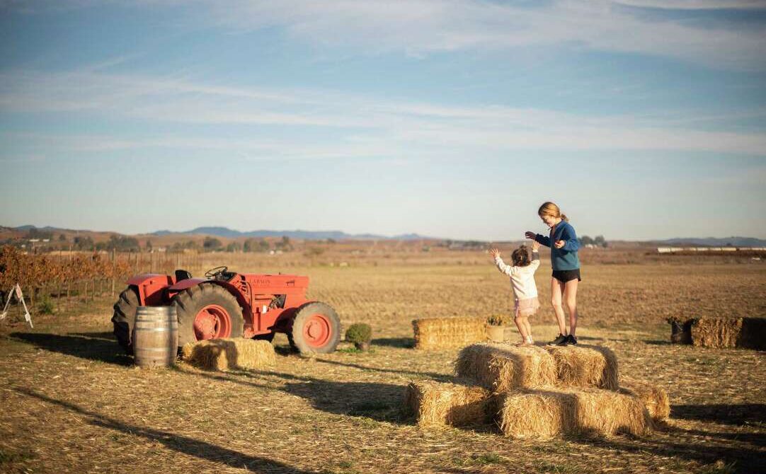 Things to Do in Napa With Kids