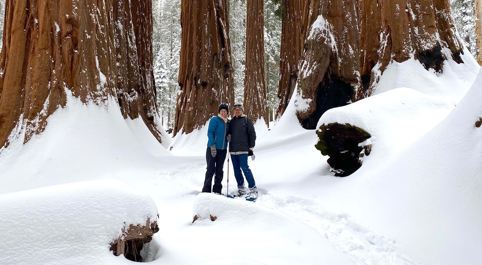 Things to Do in Sequoia National Park