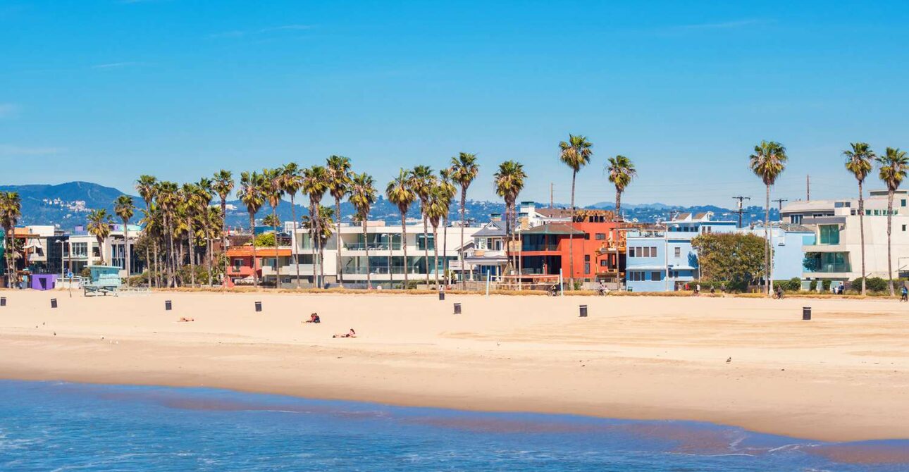 Things to Do in Venice Beach California